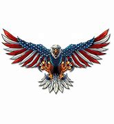 Image result for American Eagle with American Flag Pin