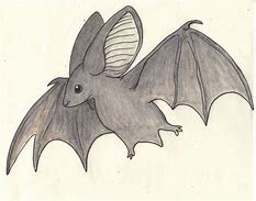 Image result for Pan Bat Line Drawing