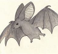 Image result for Cartoon Bat Drawing