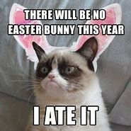 Image result for Easter Cat Meme