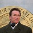 Image result for Arnold iPhone 11 Max Pro Decal Picture
