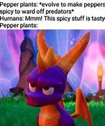 Image result for Spyro the Dragon Memes