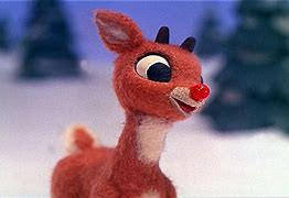 Image result for Rudolph the Red Knows Rain Dear