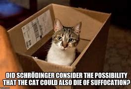 Image result for Schrodinger's Cat Meme