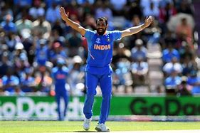 Image result for Shami 2015 World Cup