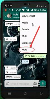 Image result for WhatsApp Tricks