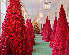 Image result for January 6th at the White House