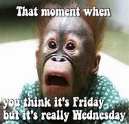 Image result for Wednesday Hump Day Funnies