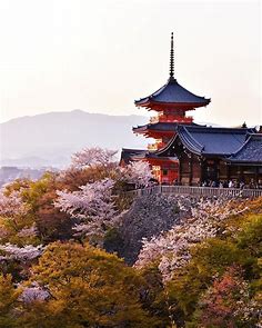 This shot of Kiyomizudera Temple with the cherry blossoms was taken during the full bloom🌸 | 風景, 京都, 絶景