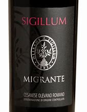 Image result for Migrante Cesanese di Olevano Romano Sigilium