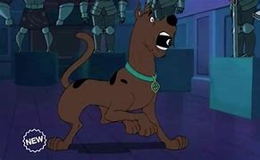 Image result for Scooby Doo Boomerang UK the Show