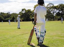 Image result for Free Images Cricket Kid's
