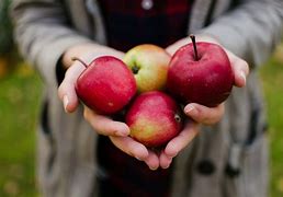 Image result for Good Apple Wall Ball