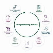 Image result for Drug Discovery Process Research