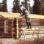 Image result for Basic Log Cabin