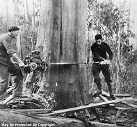 Image result for Two-Man Chainsaw