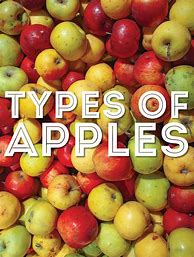 Image result for Apple Tree Types