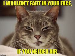 Image result for Cat Angery Meme
