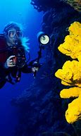 Image result for Underwater Wallpaper iPhone