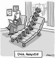 Image result for Memes ADN