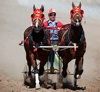 Image result for Chariot Racing One Horse