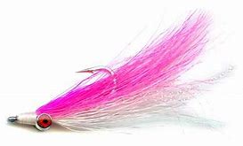 Image result for Pink Hook Fishing