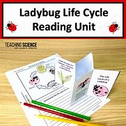 Image result for Ladybug Reading