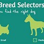 Image result for RCA Victor Dog Breed