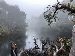 Image result for Lagoon of Volcano Barva
