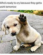 Image result for Good Job Puppy Meme