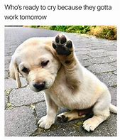 Image result for Cute Work Memes