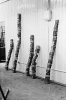 Image result for Tony Cragg Stack