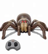 Image result for Grow a Spider Toy