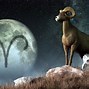 Image result for Meaning of All Zodiac Signs