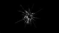 Image result for Cracked Screen Wallpaper with Animal Coming Out