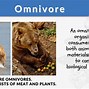 Image result for Omnivore Diet