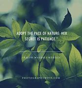 Image result for Cool Photography Quotes