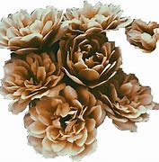 Image result for Brown Aesthetic Flower PNG