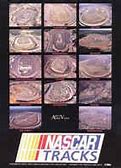 Image result for NASCAR Art Prints