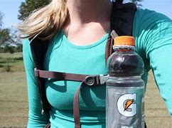 Image result for Double Carabiner with Swivel