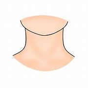 Image result for Clip Art Picture of a Neck