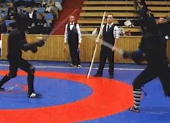 Image result for Martial Arts Stars