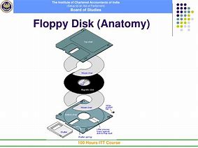 Image result for Floppy Anatomy