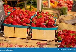 Image result for Local Farmers