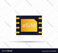 Image result for Esim Icon