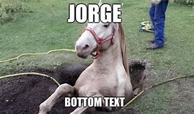 Image result for Jorge Horse Meme