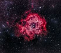 Image result for Galaxy Red Rose