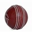 Image result for SG Cricket Gear