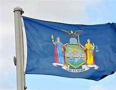 Image result for NY State Flag