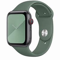Image result for Apple Watch 4 44Mm SportBand
